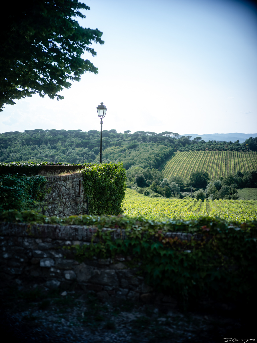 Photos from a trip through Italy in Summer of 2023. Locations include Rome, Florence, Tuscany, Castello di Bossi in Chianti, Siena, San Gimignano, Sirmione on Lake Garda, Bologna, Gudon, Italian Dolomites, Seceda, Cadini di Misurina, and Venice.